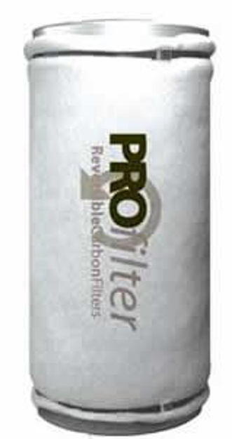 Picture of PRO filter 75 Reversible Carbon Filter