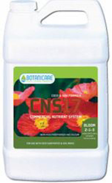 Picture of CNS17 Bloom Quart