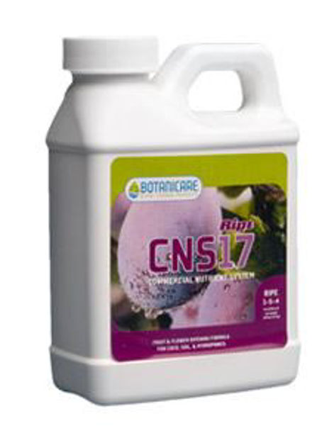 Picture of CNS17 Ripe 8 oz.
