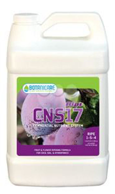 Picture of CNS17 Ripe Gallon