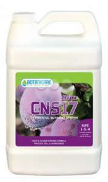Picture of CNS17 Ripe Quart