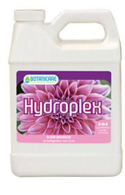 Picture of Hydroplex Bloom Qt.