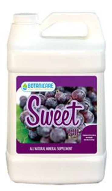 Picture of Sweet Carbo Grape 8oz