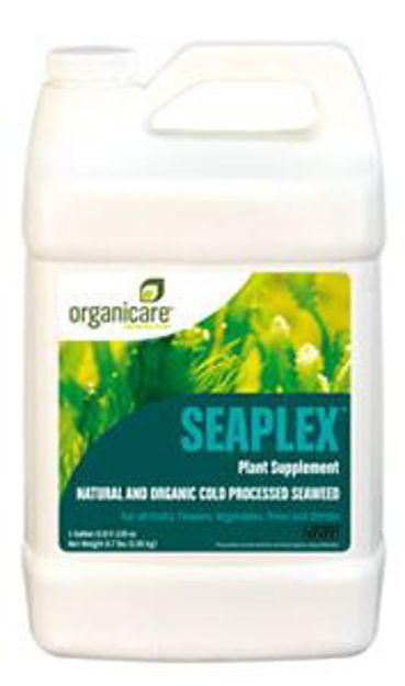 Picture of Seaplex gal