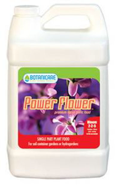 Picture of Power Flower, 1 qt