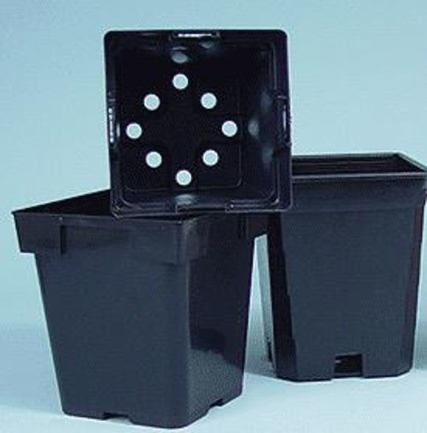 Picture of Square Black Pot - Magnum 6"x6"