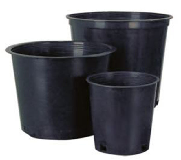 Picture of 10" Round Mesh Bottom Pot