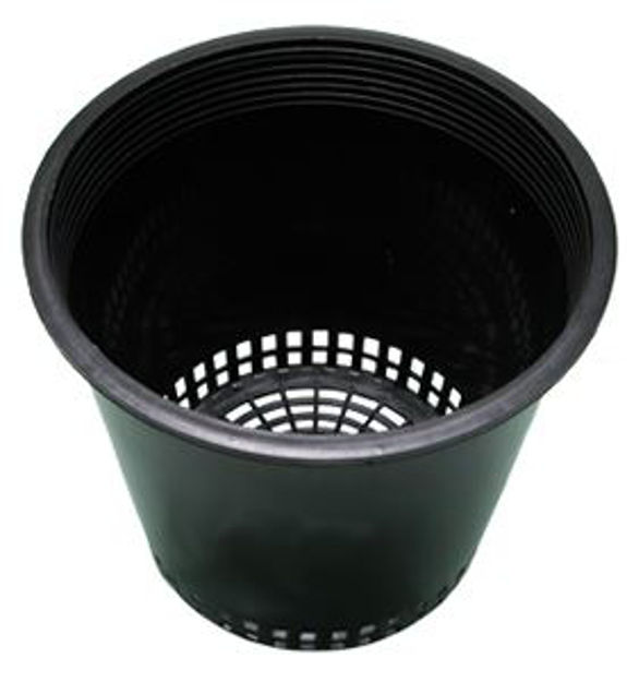 Picture of 6" Mesh Bottom Pot, 50/pack