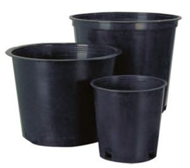 Picture of 8" Mesh Bottom Pot