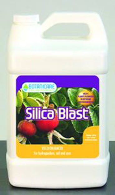 Picture of Silica Blast, 1 gal