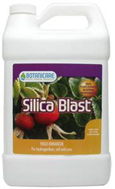 Picture of Silica Blast, 1 qt