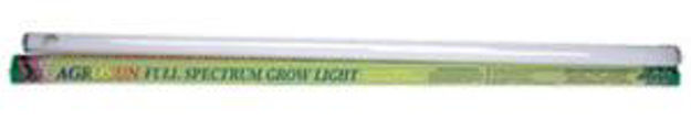 Picture of 48" Agrosun 40W Fluorescent Tube, case of 6