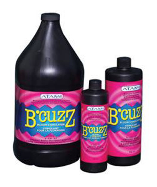 Picture of B'Cuzz Bloom, 12 oz