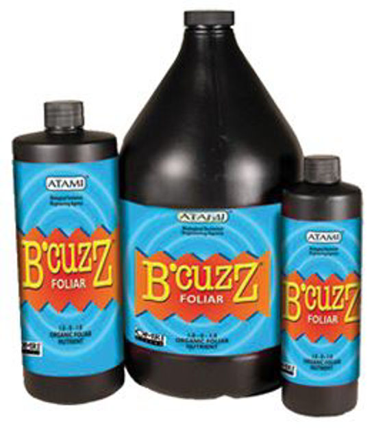 Picture of B'Cuzz Foliar 1-0-0