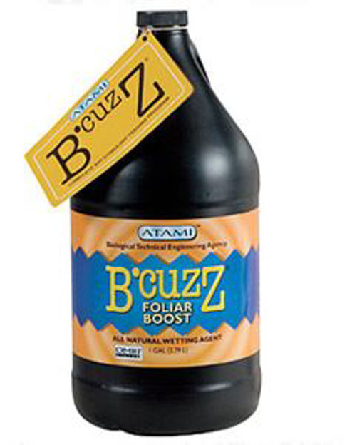 Picture of Foliar Boost Gal
