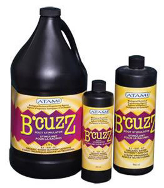 Picture of B'Cuzz Root, 1 gal