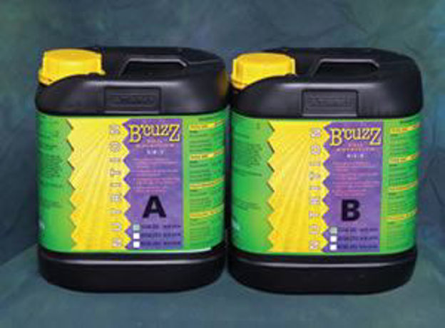 Picture of B'Cuzz Soil Nutrition Component A, 10 lt