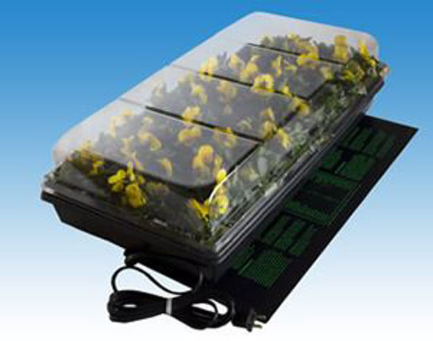 Picture of Germination Station