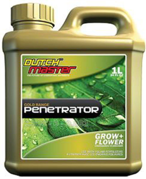 Picture of Saturator Gold 5L