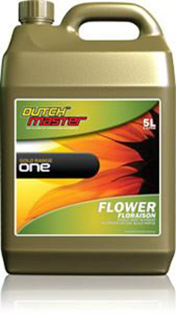 Picture of Gold One Flower 5 L