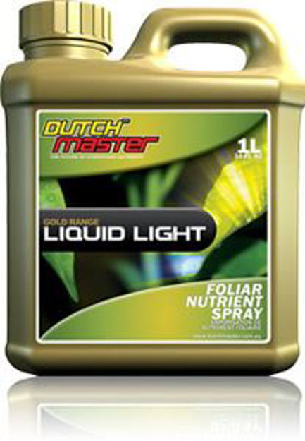 Picture of Gold Liquid Light, 1L