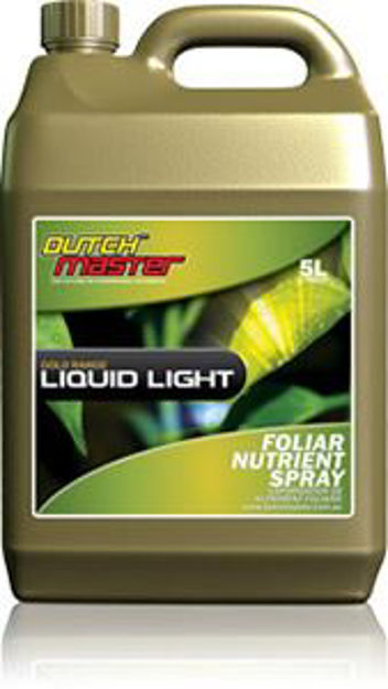 Picture of Gold Liquid Light 5 L
