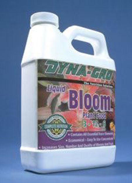Picture of Dyna-Gro Bloom, 1 qt