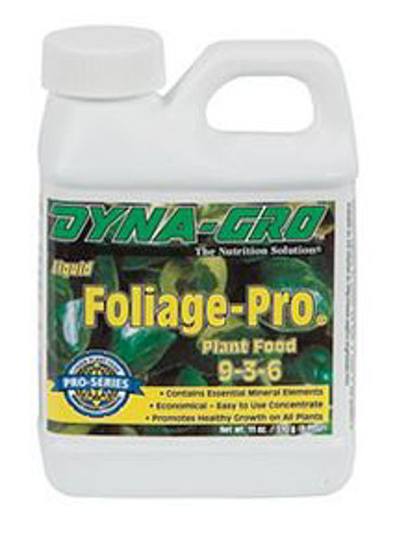 Picture of DYFOL008