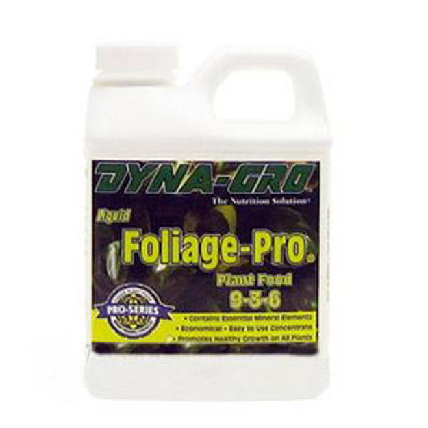 Picture of Foliage - Pro 1 Gal