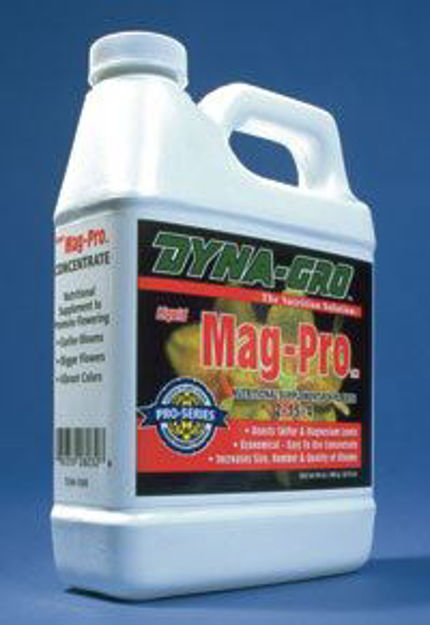 Picture of Mag Pro gal
