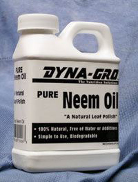 Picture of Dyna-Gro Pure Neem Oil 8 oz