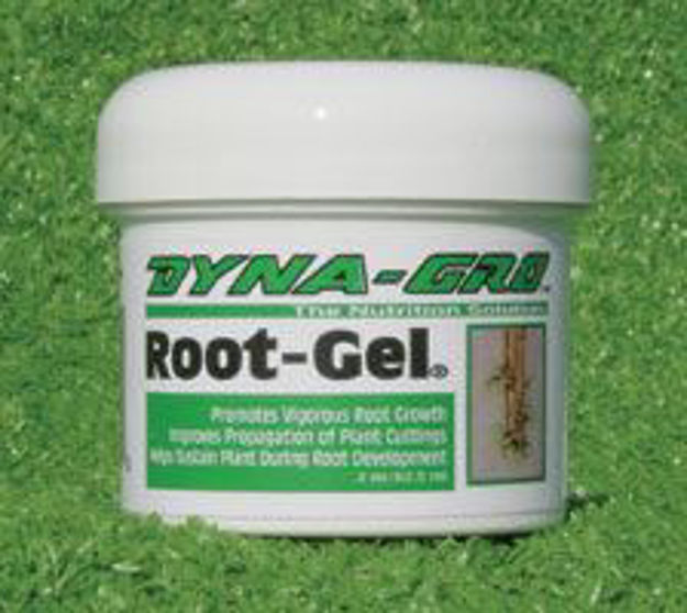 Picture of Dyna-Gro Root Gel 4 oz