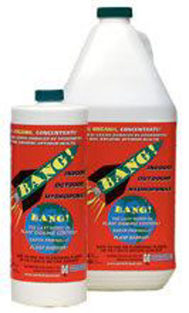 Picture of Bang Insecticide 1 Liter