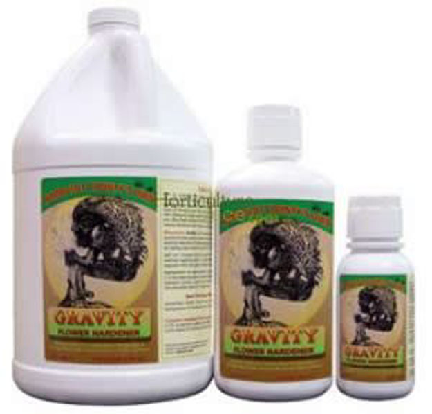Picture of Gravity 2.5 Gal
