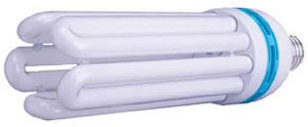 Picture of 125 W Compact Fluorescent Bulb - Daylight