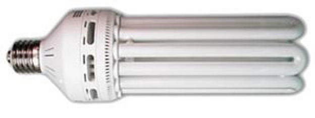 Picture of 125 W Compact Fluorescent Bulb - Warm