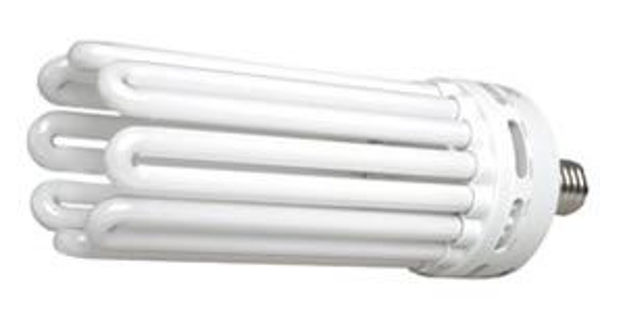 Picture of 200 W Compact Fluorescent Bulb - Daylight