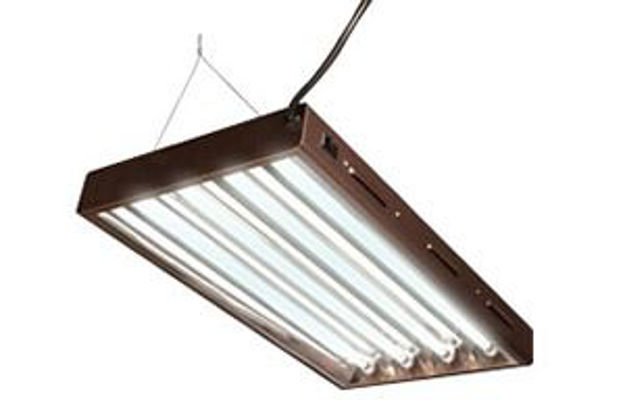 Picture of T5 2Ft/4-Tube Designer System w/ Bulbs