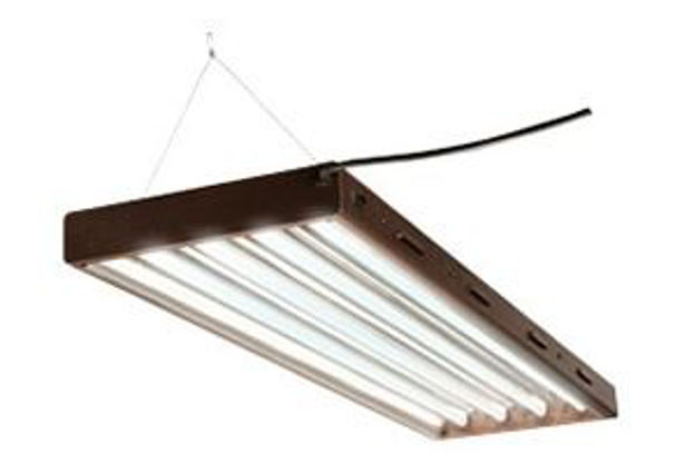 Picture of T5 4Ft/4-Tube Designer System - No Bulbs
