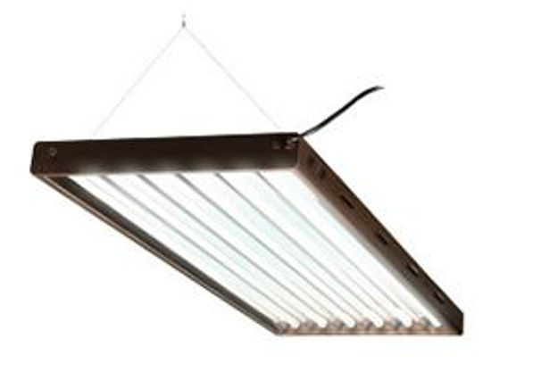 Picture of T5 4Ft/6-Tube Designer System w/ Bulbs
