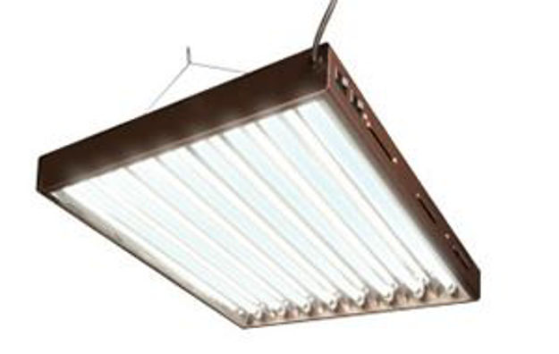 Picture of T5 4Ft/8-Tube Designer System w/ Bulbs
