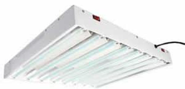 Picture of T5 2ft/8-Tube Commercial System w/ Bulbs