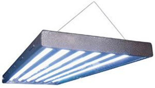 Picture of T5 6-Tube Fixture (Bulbs not included)