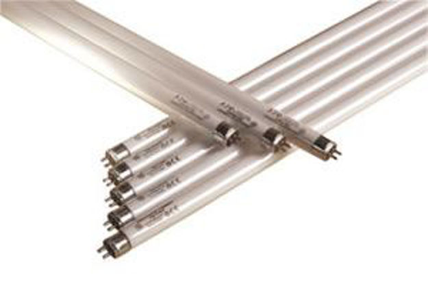 Picture of GE T5 Starcoat Fluorescent Tubes, case of 4
