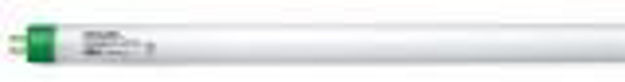 Picture of 2" T5 Warm Phillips Fluorescent Bulb
