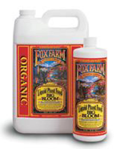Picture of Big Bloom Liquid Concentrate, 1 gal