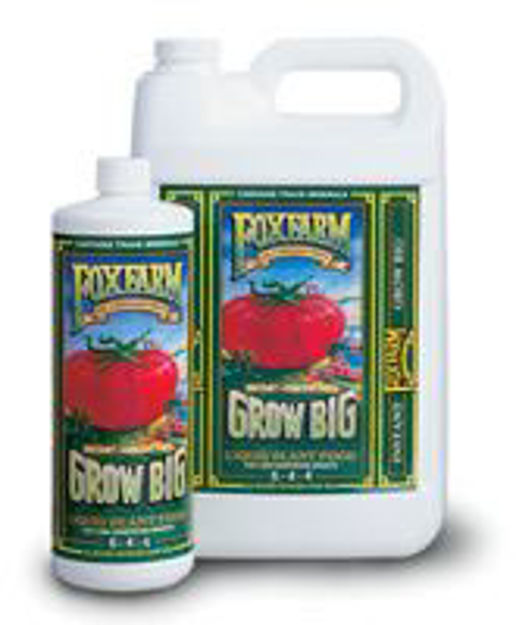 Picture of Grow Big Liquid Concentrate, 1 qt