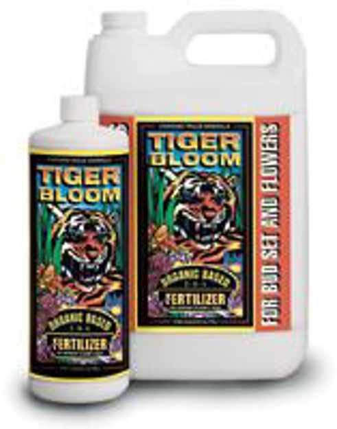 Picture of Tiger Bloom, 1 qt