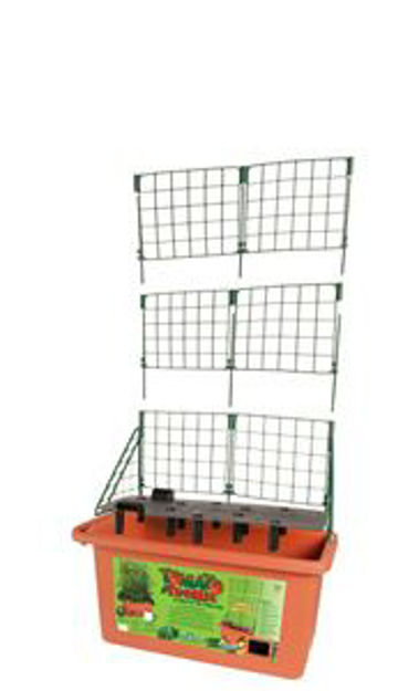 Picture of Tomato Trellis