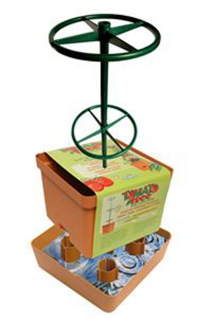 Picture of Tomato Tree w/ 3' Tower